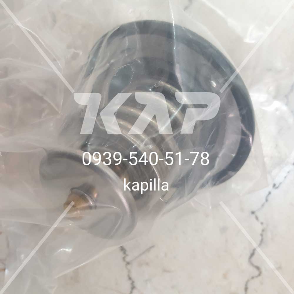ترموستات اصلی هیوندای و کیا ۲