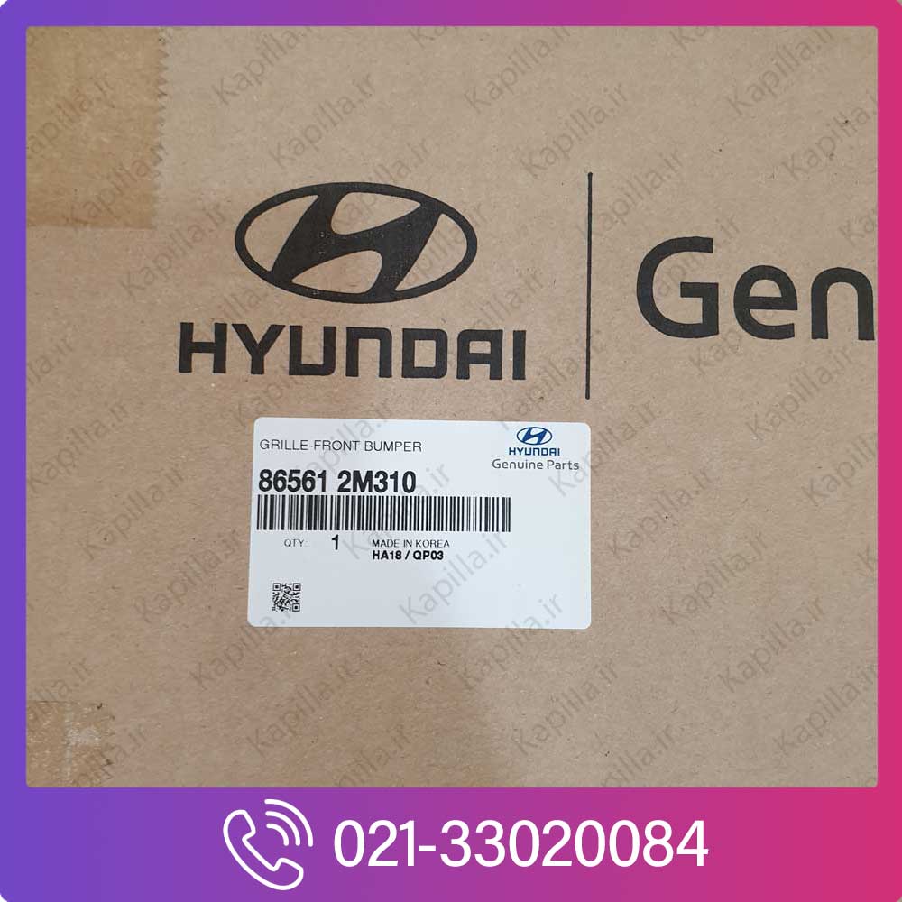 Hyundai-Genesis-Coupe-Front-Grill-Cover-2 توری سپر جلو هیوندای جنسیس کوپه
