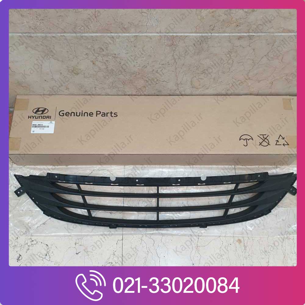 Hyundai-Genesis-Coupe-Front-Grill-Cover-3 توری سپر جنسیس کوپه