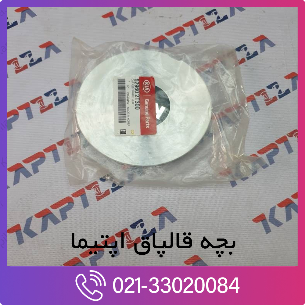 kia-optima-cap-assy-wheel-hub-529602T300-1 کیا اپتیما